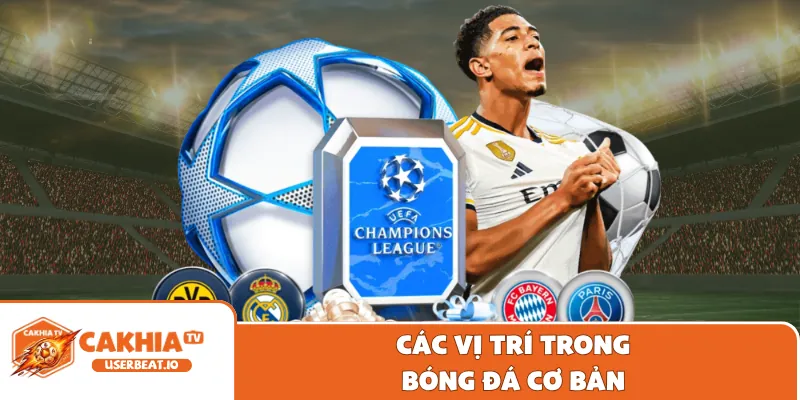 Các vị trí trong bóng đá cơ bản