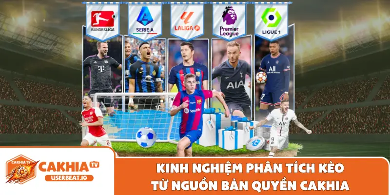 Bản Quyền Cakhia 3 Kinh nghiệm phân tích kèo từ nguồn bản quyền Cakhia