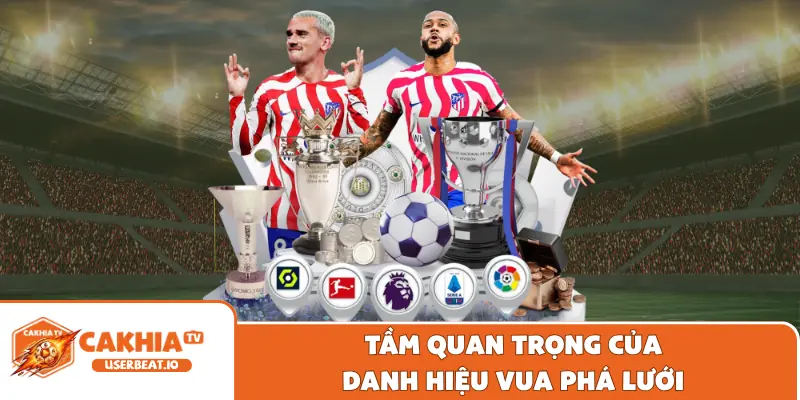 Dự Đoán Vua Phá Lưới ASEAN Cup Cùng Thông Tin Từ Cakhia 10 Tầm quan trọng của danh hiệu vua phá lưới