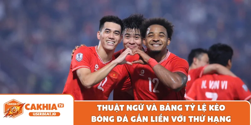 Bảng Xếp Hạng ASEAN Cup - Cập Nhật Điểm Số, Nhận Định Kèo 2 Thuật ngữ và bảng tỷ lệ kèo bóng đá gắn liền với thứ hạng