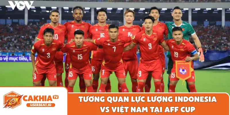 Tương quan lực lượng Indonesia vs Việt Nam tại AFF Cup
